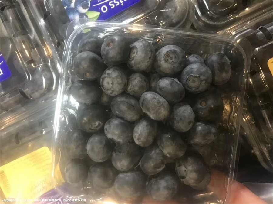 {ݮDƬ