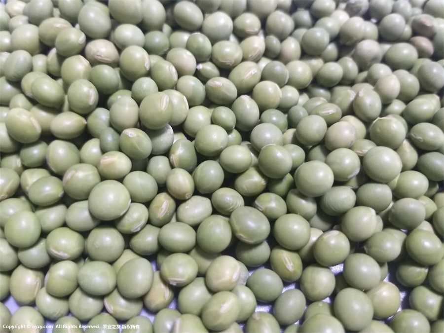 ඹDƬ