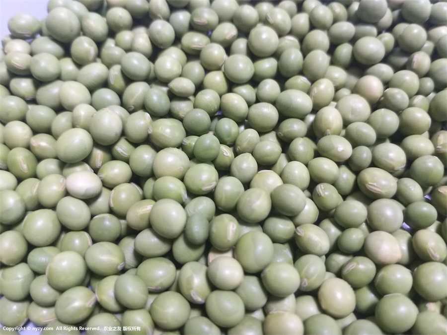 ඹDƬ